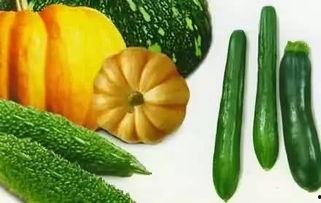 吃瓜今日吃瓜官网最新,最新官网热点事件大盘点