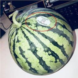 各类网红吃瓜,盘点娱乐圈那些鲜为人知的幕后故事